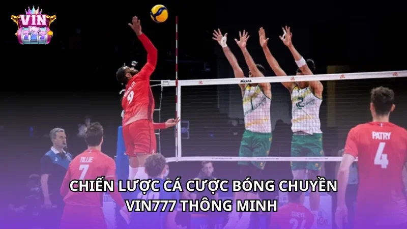 Chiến lược cá cược bóng chuyền Vin777 thông minh