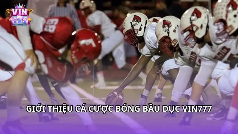 Giới thiệu cá cược bóng bầu dục Vin777